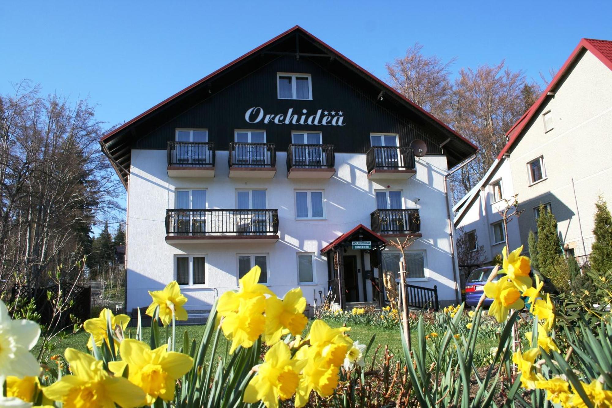 Orchidea Bed & Breakfast Szklarska Poręba Exterior foto